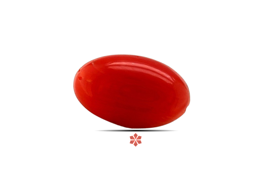 Red Coral 12x7 MM 1.73 carats