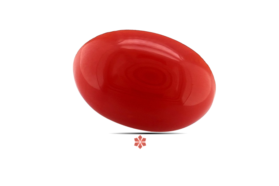Red Coral 16x12 MM 6.62 carats