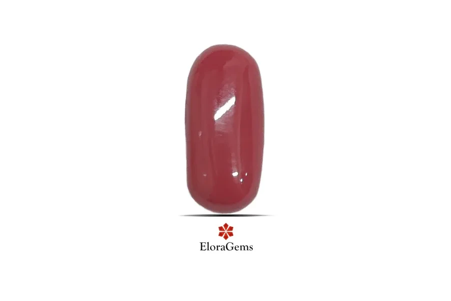 Red Coral (Pavalam) 13x6 MM 3.5 carats
