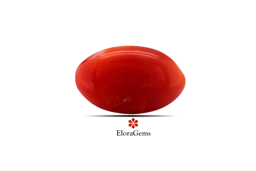 Red Coral 11x3 MM 2.24 carats