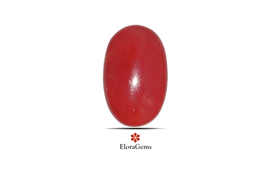 Red Coral (Pavalam) 19x12 MM 9.32 carats