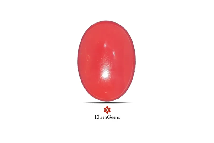 Red Coral (Pavalam) 17x15 MM 12.66 carats