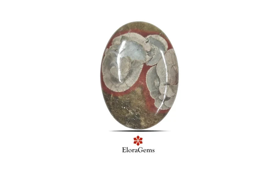 Mushroom Rhyolite Jasper 38x28 MM 44.13 carats