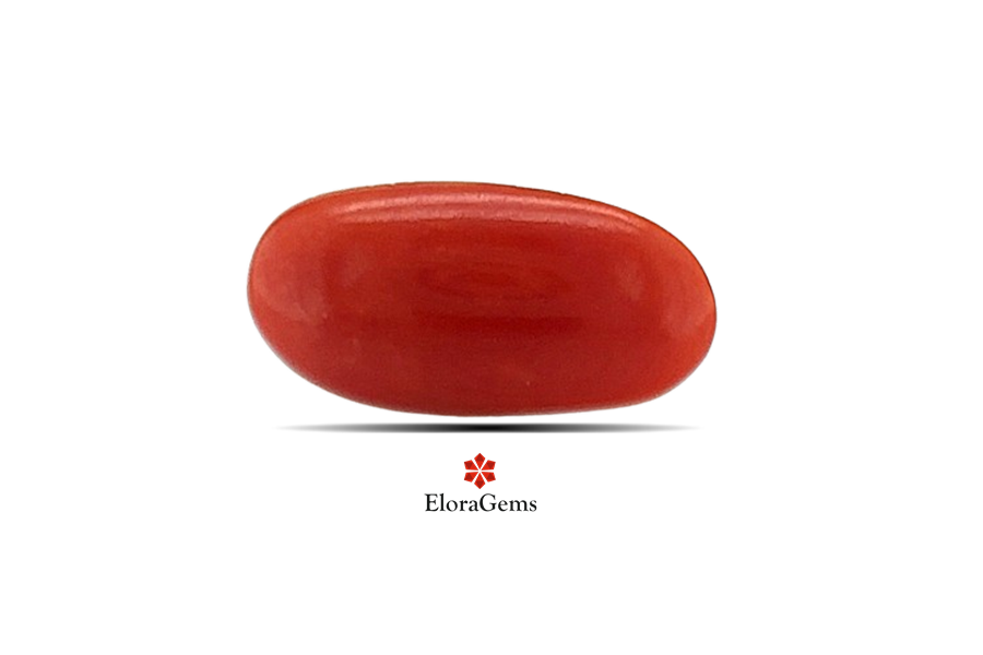 Red Coral 12x6 MM 1.3 carats