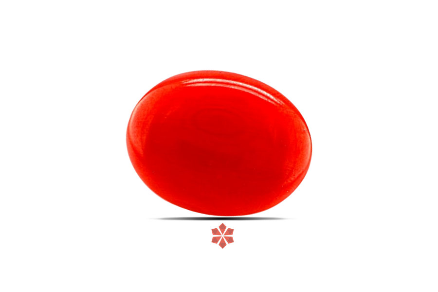 Red Coral 22x17 MM 16.36 carats
