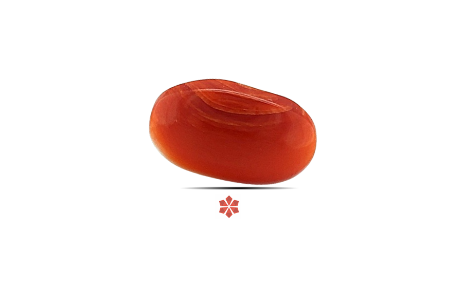 Red Coral 11x7 MM 1.81 carats