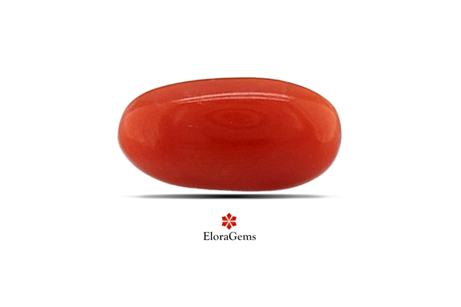 Red Coral 11x6 MM 1.63 carats