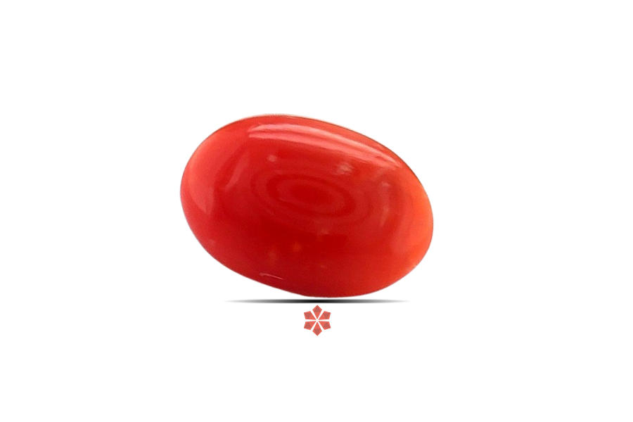 Red Coral 11x7 MM 1.6 carats