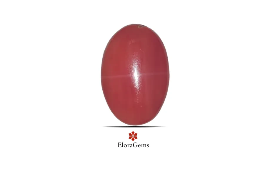 Red Coral (Pavalam) 23x15 MM 16.84 carats