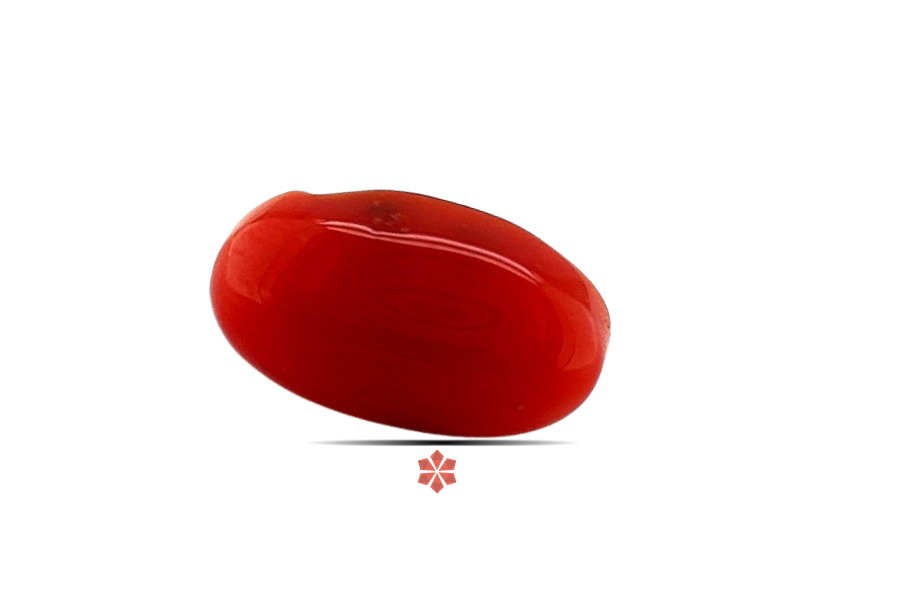 Red Coral 11x7 MM 2.25 carats