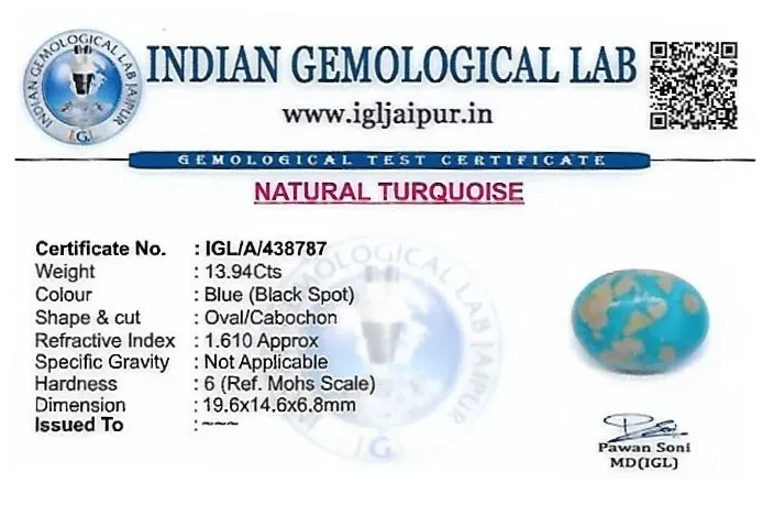 Turquoise 20x15 MM 13.94 carats