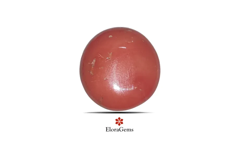 Red Coral (Pavalam) 20x19 MM 21.92 carats