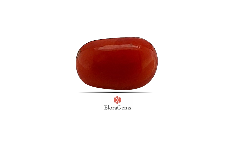 Red Coral 10x7 MM 2.74 carats