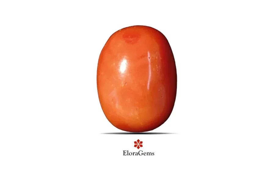 Red Coral (Pavalam) 18x14 MM 16.4 carats